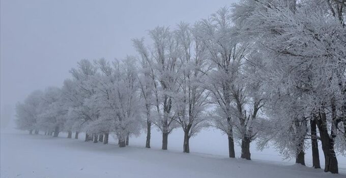 Doğu Anadolu’nun güneydoğusu için kuvvetli kar uyarısı