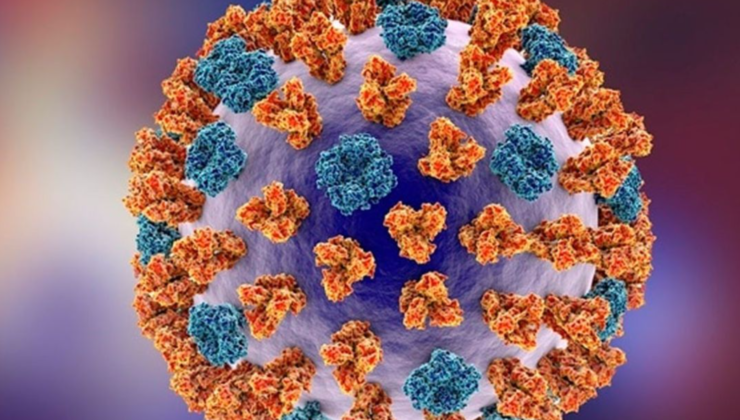 İnfluenza A vakaları artıyor hastaneler dolup taşıyor!