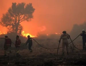 Ödemiş’ten acı haber: Orman işçisi yaşamını yitirdi